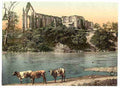Vintage Abbey from the river Bolton A4 Photo Print