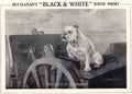 Vintage Advert 00139 A4 Photo Print