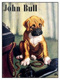 Vintage Advert 002 A4 Photo Print