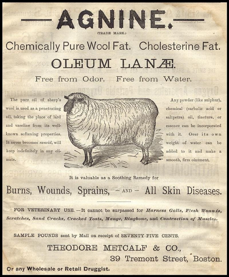Vintage Advert 01389 A4 Photo Print