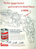 Vintage Advert 01556 A4 Photo Print