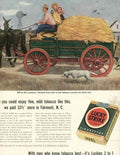 Vintage Advert 01772 A4 Photo Print