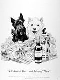 Vintage Advert 01976 A4 Photo Print