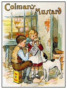Vintage Advert 115 A4 Photo Print