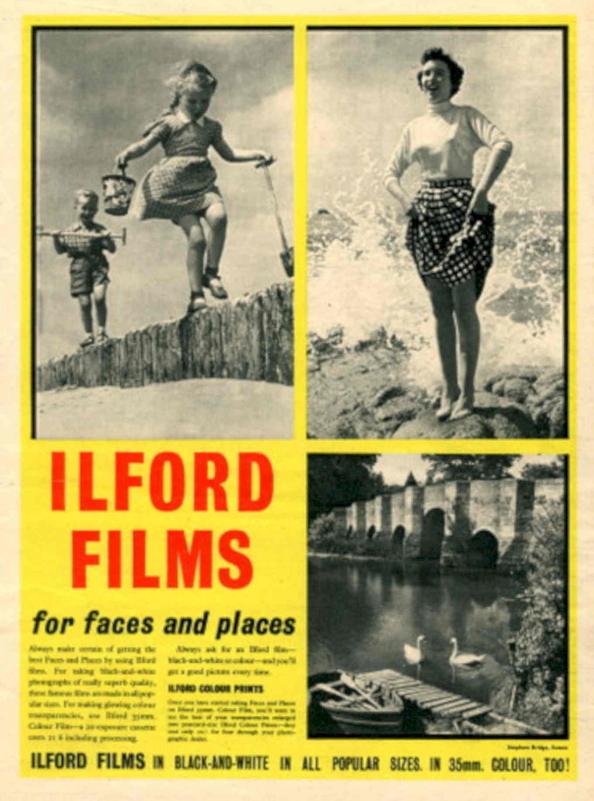 Vintage Advertising Flamingos 1950s Vintage Retro Advert Poster