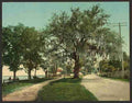 Vintage Along the bay Bay St Louis Miss A4 Photo Print