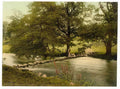 Vintage Ambleside Stepping Stones Lake District England A4 Photo Print