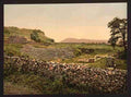 Vintage Amphitheatre of Tusculum Rome A4 Photo Print