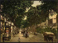 Vintage Avenue de la Gare Nice A4 Photo Print