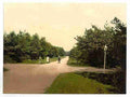Vintage Bagshot Road Camberley A4 Photo Print