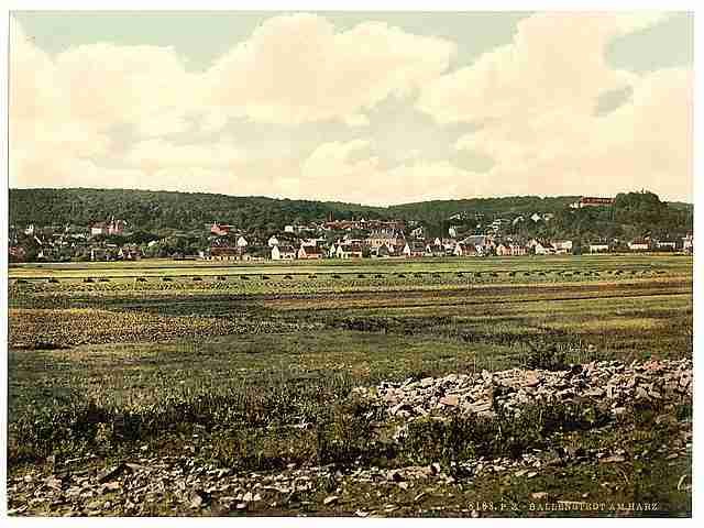 Vintage Ballenstedt Hartz A4 Photo Print