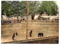 Vintage Bear pit Berne A4 Photo Print