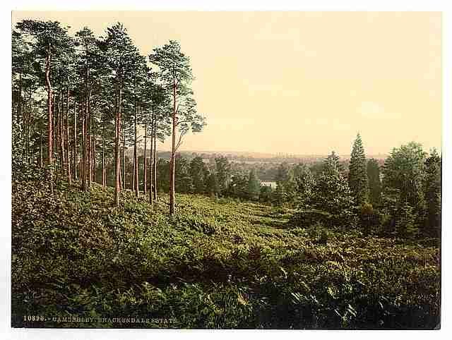 Vintage Brackendale Estade Camberley A4 Photo Print