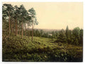 Vintage Brackendale Estate Camberley England A4 Photo Print