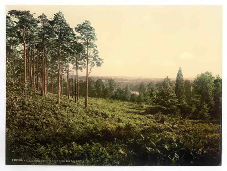 Vintage Brackendale Estate Camberley England A4 Photo Print