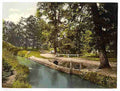 Vintage Bradley Woods Newton Abbott A4 Photo Print