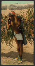 Vintage Bringing in the harvest A4 Photo Print