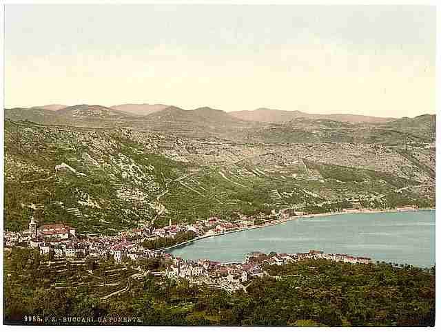 Vintage Bucarri from the west Croatia A4 Photo Print