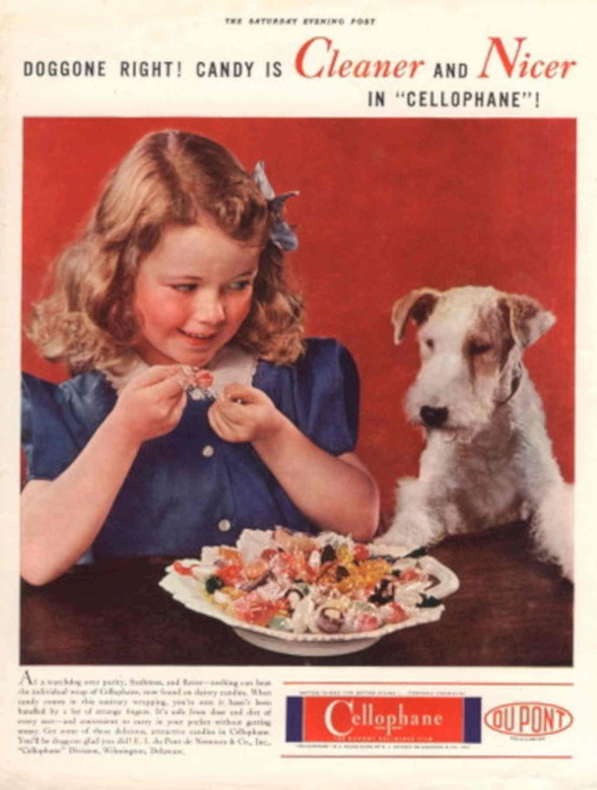 Vintage Candy Dog 1950s Vintage Retro Advert Poster