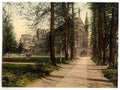 Vintage Cathedral And Avenue Winchester England A4 Photo Print