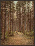 Vintage Cathedral Woods Intervale White Mountains A4 Photo Print