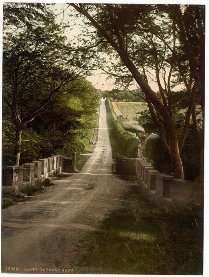 Vintage Caveney Brae Banff Scotland A4 Photo Print