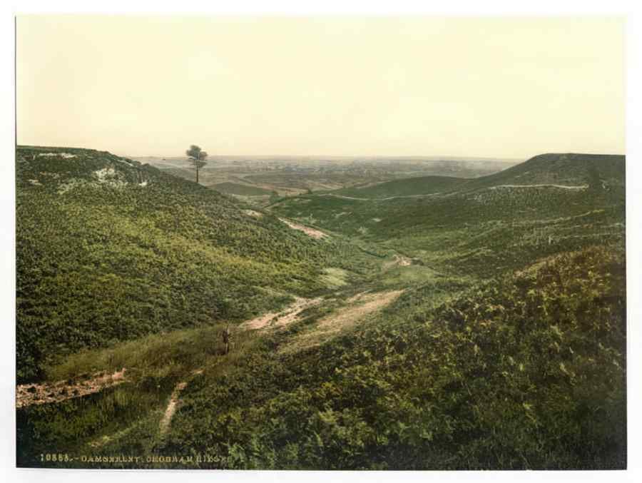 Vintage Chobham Ridges Camberley England A4 Photo Print