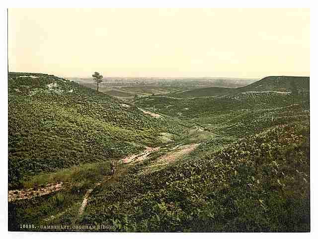 Vintage Chobham Ridges Camberley A4 Photo Print