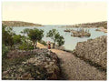 Vintage Cigale Istria A4 Photo Print