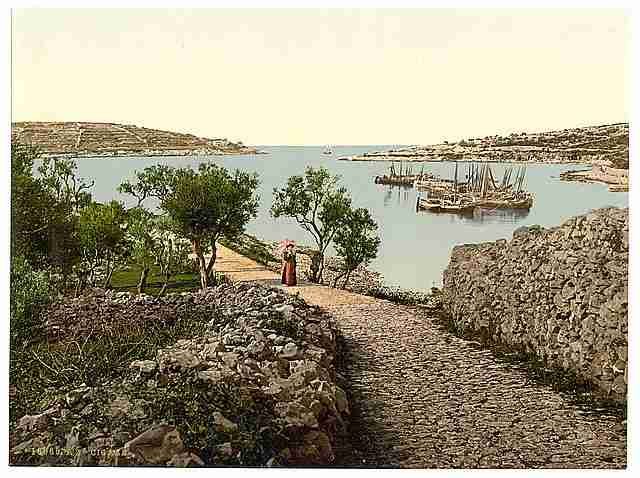 Vintage Cigale Istria A4 Photo Print