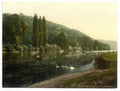 Vintage Cliveden Woods From Ferry London And Suburbs England A4 Photo Print