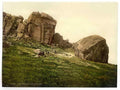 Vintage Cow And Calf Rocks Ilkley England A4 Photo Print