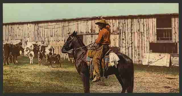 Vintage Cowboy throwing lariat A4 Photo Print