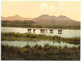 Vintage Cynicht and Moelwyn A4 Photo Print
