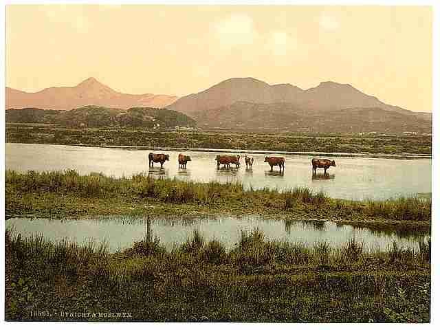 Vintage Cynicht and Moelwyn A4 Photo Print