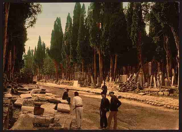 Vintage Cypresses and road Scutari Constantinople A4 Photo Print