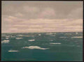 Vintage Drifting ice Spitzbergen A4 Photo Print