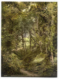 Vintage Fairlight Glen Hastings England A4 Photo Print