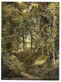 Vintage Fairlight Glen Hastings A4 Photo Print