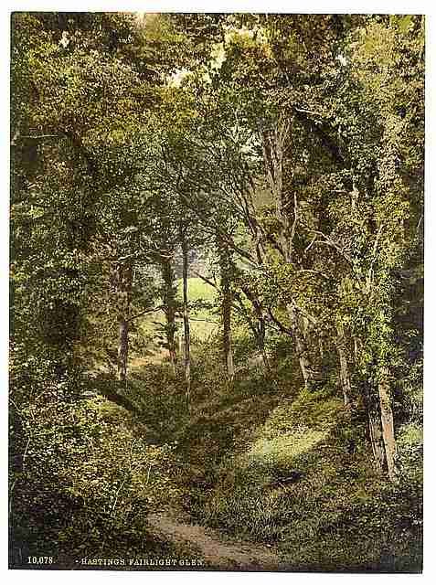 Vintage Fairlight Glen Hastings A4 Photo Print