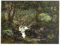 Vintage Fairy Glen Waterfall II Penmaenmawr A4 Photo Print