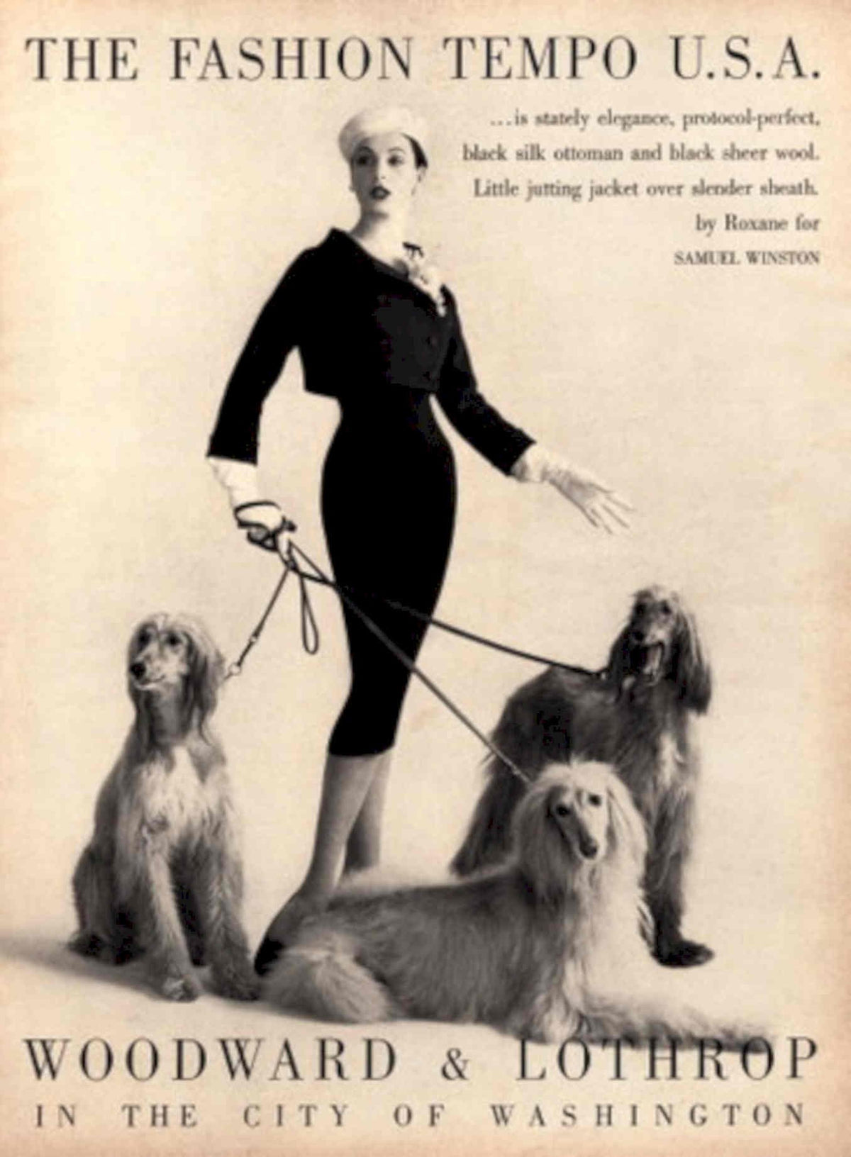 Vintage Fashion Hounds 1950s Vintage Retro Advert Poster