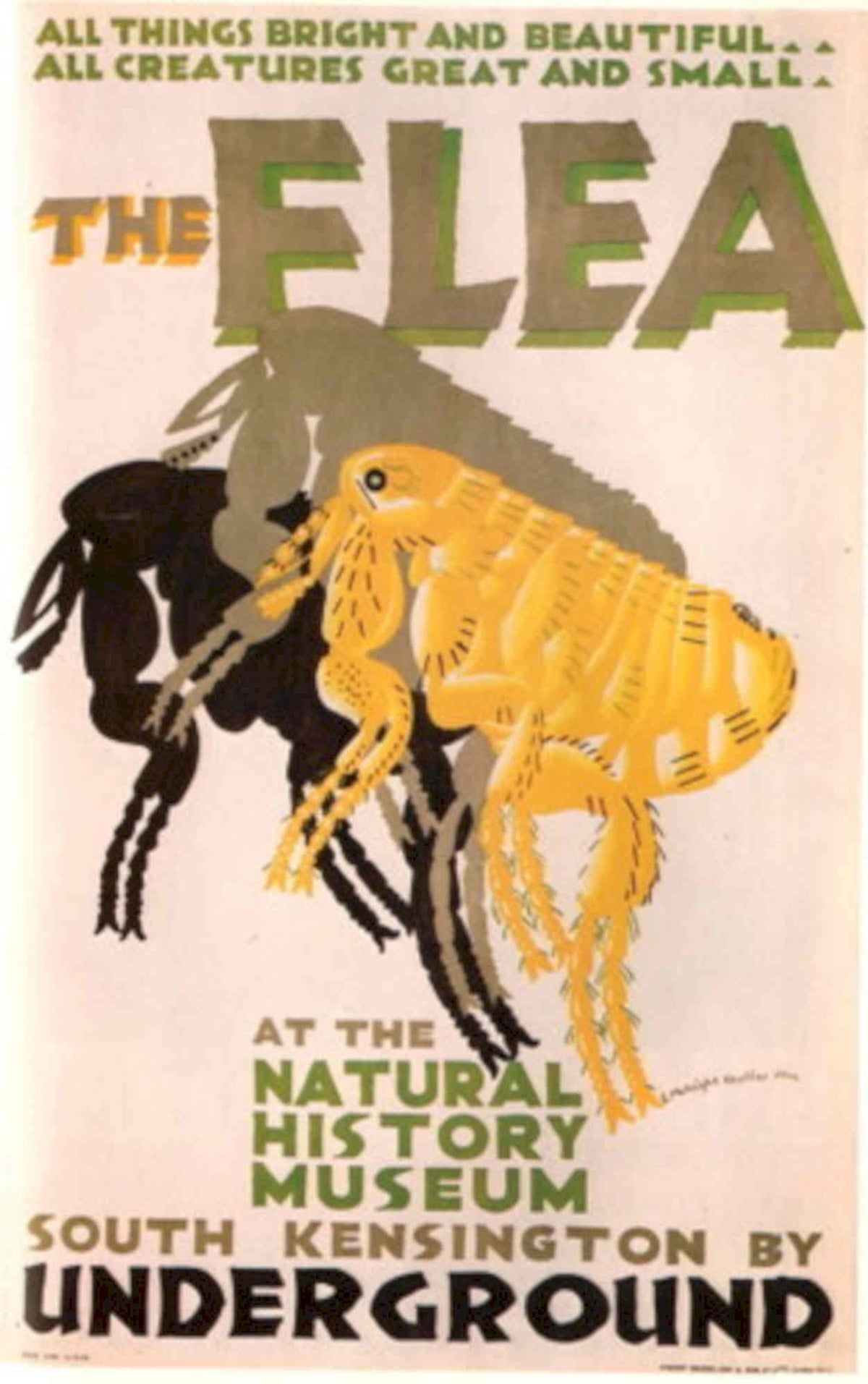 Vintage Flea Museum 1930s Vintage Retro Advert Poster