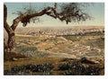 Vintage From Mount Scopus Jerusalem A4 Photo Print
