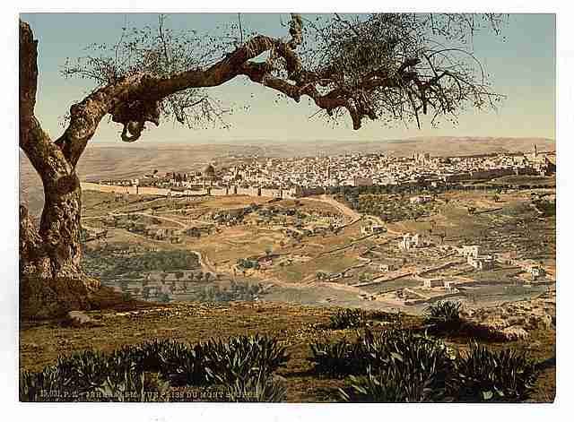 Vintage From Mount Scopus Jerusalem A4 Photo Print
