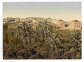 Vintage From the garden Jaffa A4 Photo Print