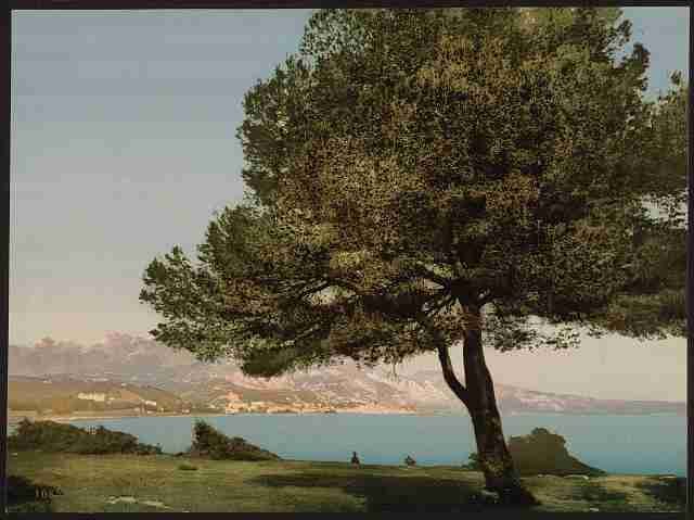 Vintage General view Cap Martin Mentone A4 Photo Print
