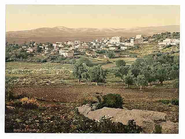 Vintage General view Jenin A4 Photo Print