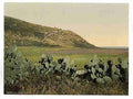 Vintage General view Mount Carmel A4 Photo Print