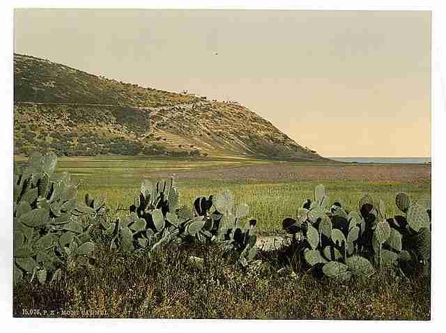 Vintage General view Mount Carmel A4 Photo Print